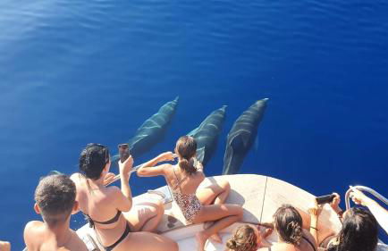 Sa Paxi Arbus - Foto 42