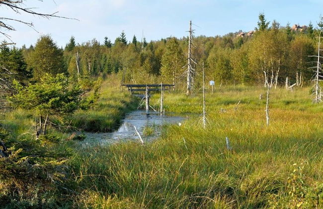 Rasehorn Comfortable Holiday Residence - Foto 11