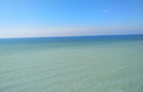 L'écume de mer - Foto 33