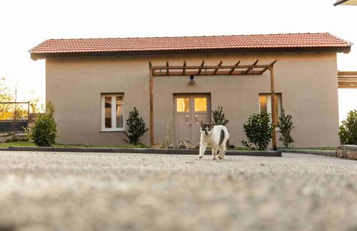 Vevi Villas - Photo 21