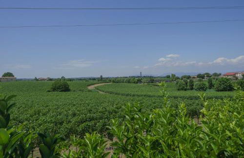La Casina Apartment - con giardino e piscina - Foto 28