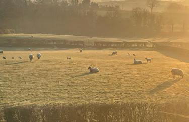 Granny's House - Kilrea - Foto 44