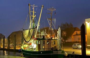 Gut Groß Fedderwarden, Ferienwohnung Mettje - Photo 18