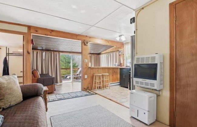 Pocono private retreat - Foto 21