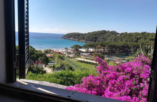 Case vacanza Barbatoja - Foto 72