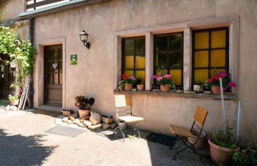 gîte l'œuf ou la poule, parking privé, sur domaine viticole - Foto 15