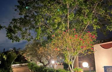 Il Giardino degli Ulivi - Foto 44