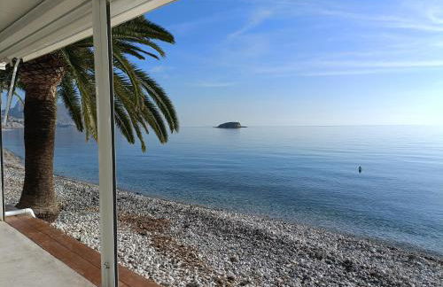 Altea Flying Whale - Photo 11