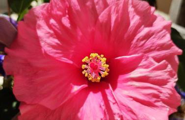 Casa da Ana - Foto 50