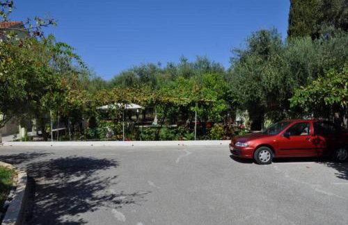 Green House!!! - Foto 24