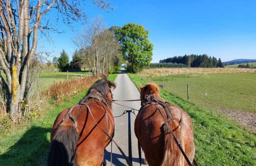 Waldhaus Kustelberg - Foto 20