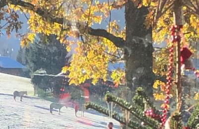 Chalet de montagne Pierre et Gaby non-fumeur hôte non professionnel - Foto 23