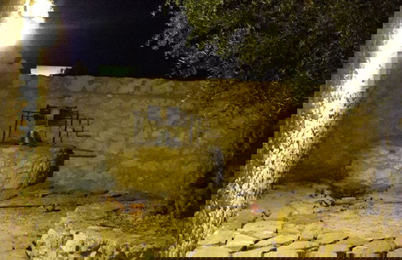 Onirozo Villa - Foto 39