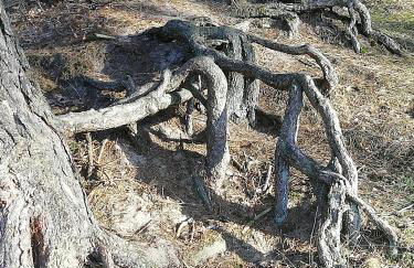 Ferienwohnung Borchert - Foto 45