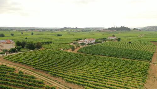 Soul Farm Mas els Igols - Foto 5, Garden