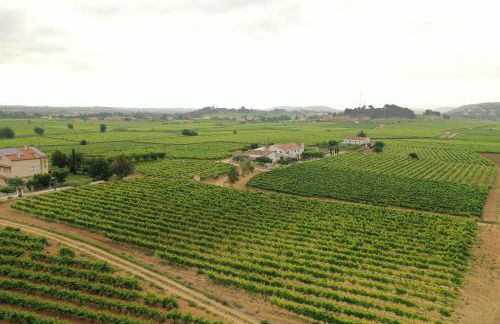 Soul Farm Mas els Igols - Foto 5