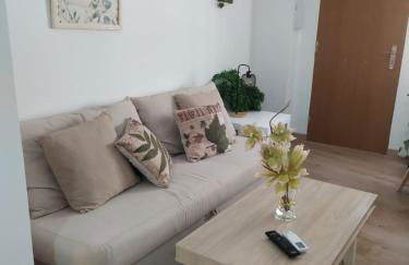 CENTRO HISTORICO - Foto 11