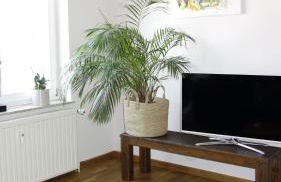 Ferienwohnungen Altstadt - Foto 35