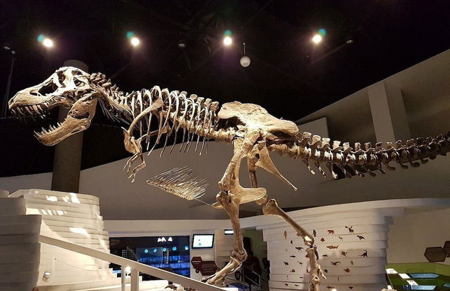 MaxStays Max Pavilion at The Venice Residences - Foto 44