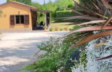 La Casa del Bosco - Foto 9