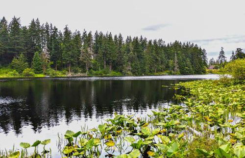 Silver Lake Splendor - Foto 46