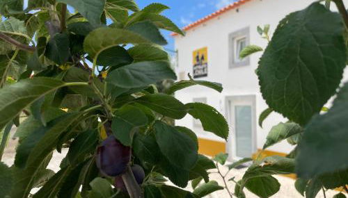 adubai Obidos - Foto 5