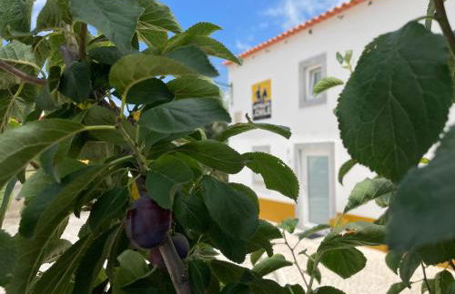 adubai Obidos - Foto 5