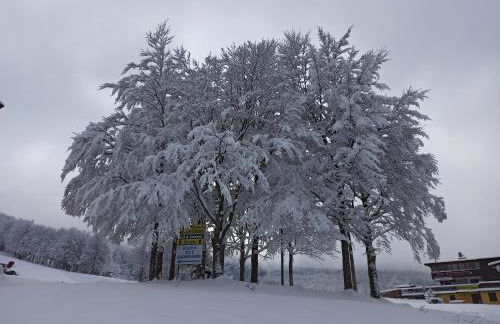 Residence le Polle - Foto 53