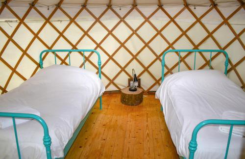 Russet Yurt - Ukc6945 - Foto 7