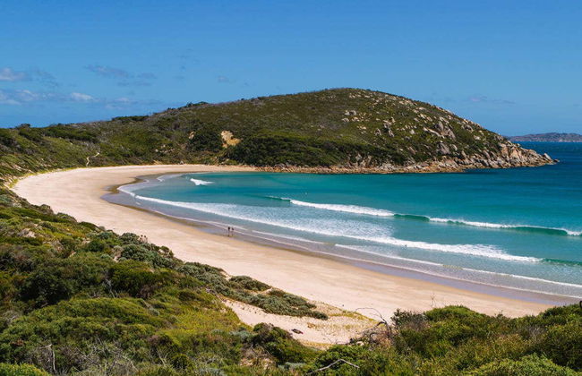 Randonnée dans le Parc National du Promontoire Wilsons - Photo 2