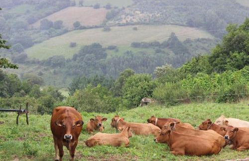 Amets etxalde - Foto 68