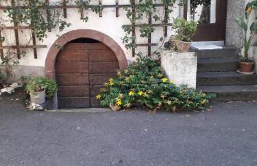 Ferienapartment Luise - Foto 12