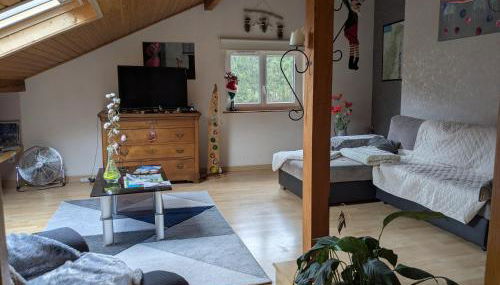 Gîte de la vallée, En Pleine Forêt - Foto 4