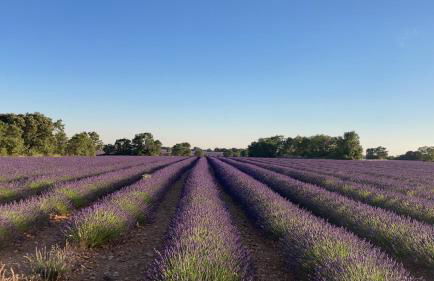 Casa Rural El Edén del Ungría - Foto 3