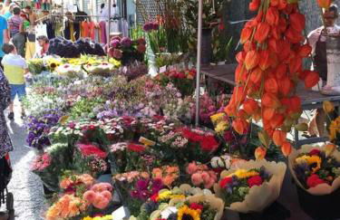 La Petite Cave - Foto 44