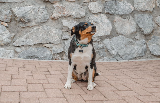 Angererhof - Foto 33