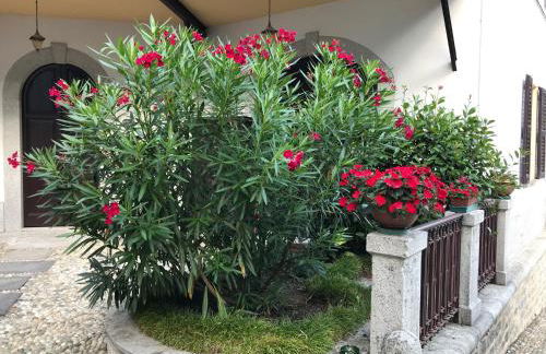 Villa Ombrosa - Foto 8