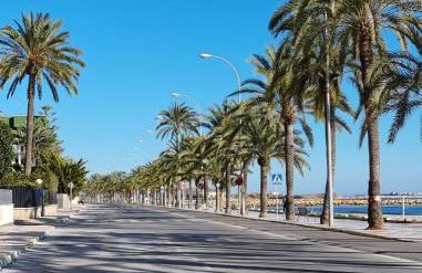 SUNSHINE Apartment - Photo 32