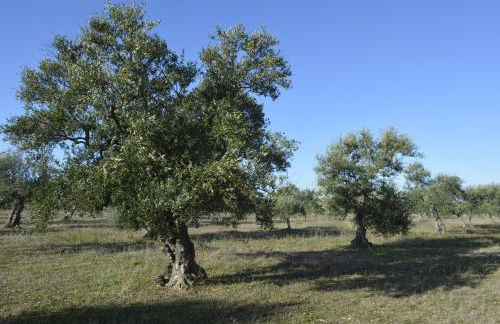 Agriturismo Poggio Ferrata - Foto 37