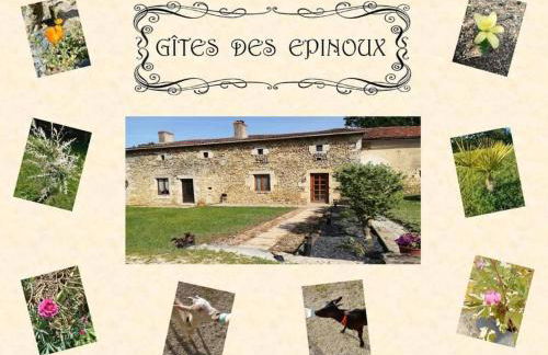 Le Papillon - Foto 16