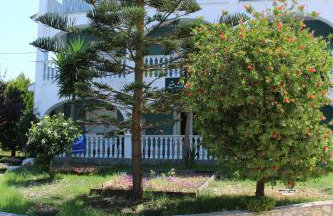 Smile's Studios - Photo 28