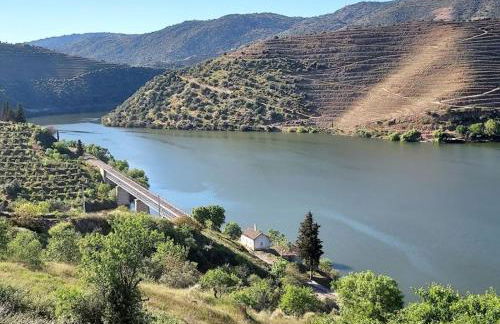 Casa da quelha- Arnozelo (Alto Douro Vinhateiro) - Foto 1