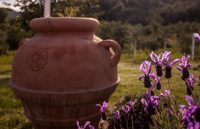 Mulino Della Rivolta - Foto 35