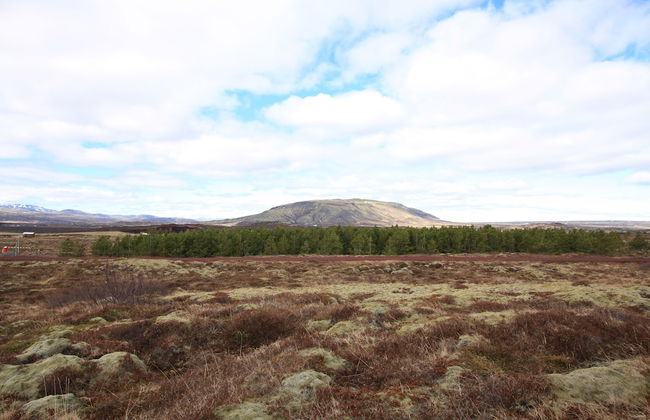 Kerbyggd: Luxury House and Cottage in Golden Circle - Foto 37