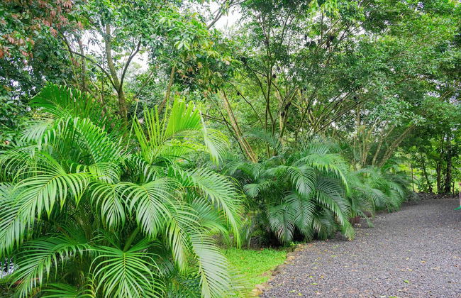 Los Lagos Casas de Campo - Foto 68