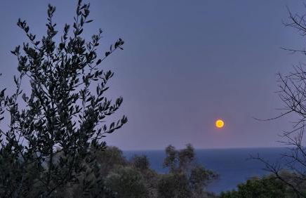 Villa Eos con Piscina Privata nel cuore del Parco Naturale di Andrano - Foto 51