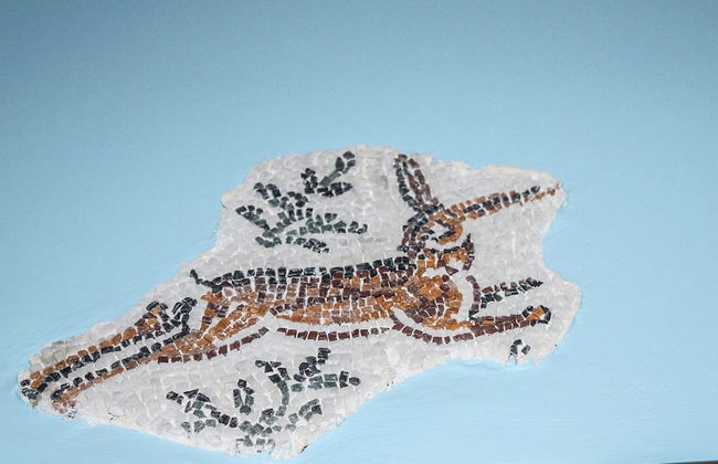 Antica Cantina Emilia - Foto 32