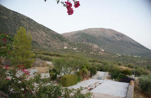 Thelea Mani - Foto 33