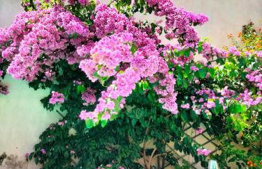 La Pomerolaise, Charmant appartement rénové dans une maison typique vigneronne - Foto 37