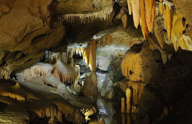 Allambi Holiday Apartments - Foto 22